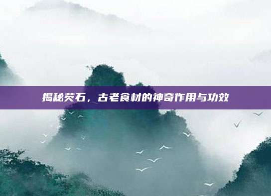 揭秘芡石，古老食材的神奇作用與功效