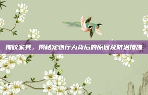 狗咬家具，揭秘寵物行為背后的原因及防治措施