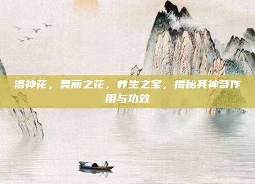 洛神花,，美麗之花,，養(yǎng)生之寶,，揭秘其神奇作用與功效