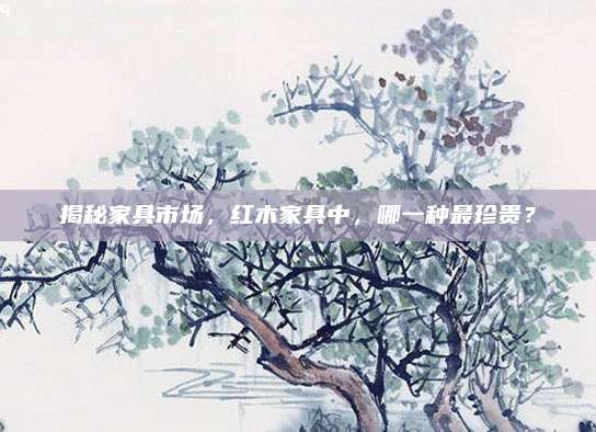 揭秘家具市場,，紅木家具中,，哪一種最珍貴？