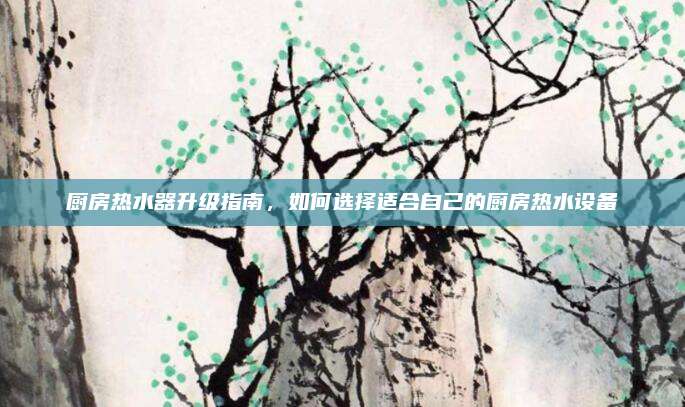 廚房熱水器升級(jí)指南，如何選擇適合自己的廚房熱水設(shè)備