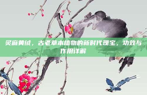 炙麻黃絨，古老草本植物的新時(shí)代瑰寶,，功效與作用詳解