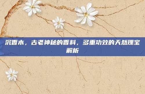 沉香木，古老神秘的香料，多重功效的天然瑰寶解析