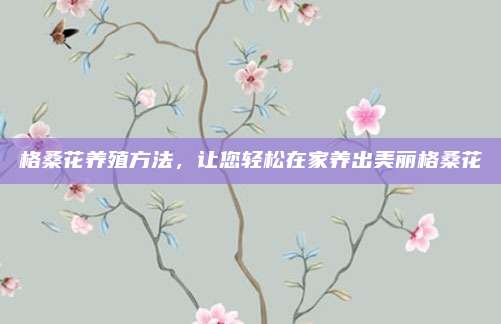 格?；B(yǎng)殖方法,，讓您輕松在家養(yǎng)出美麗格桑花