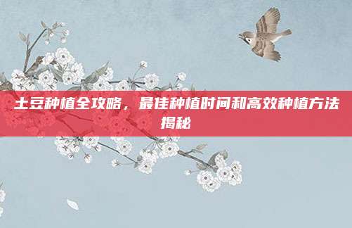 土豆種植全攻略,，最佳種植時(shí)間和高效種植方法揭秘