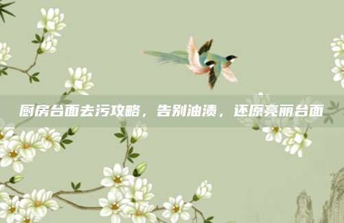 廚房臺(tái)面去污攻略,，告別油漬,，還原亮麗臺(tái)面