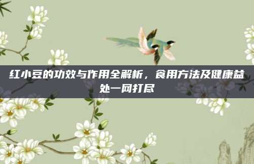 紅小豆的功效與作用全解析，食用方法及健康益處一網(wǎng)打盡