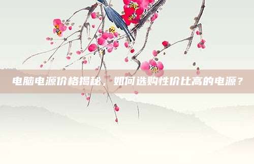 電腦電源價(jià)格揭秘，如何選購(gòu)性價(jià)比高的電源,？