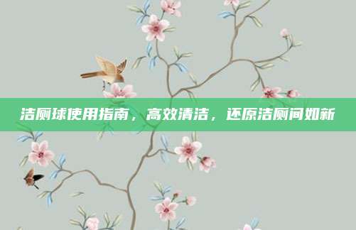 潔廁球使用指南,，高效清潔，還原潔廁間如新
