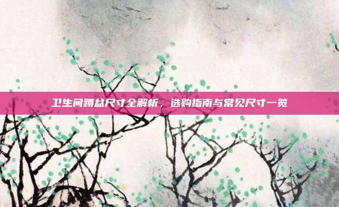 衛(wèi)生間蹲盆尺寸全解析，選購指南與常見尺寸一覽