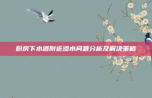 廚房下水道附近滲水問題分析及解決策略