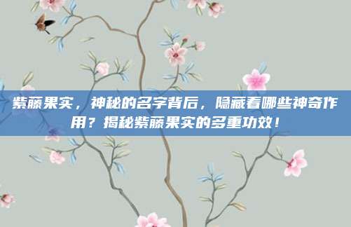 紫藤果實,，神秘的名字背后，隱藏著哪些神奇作用,？揭秘紫藤果實的多重功效,！
