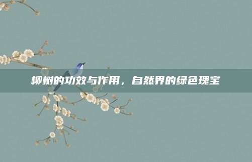 柳樹的功效與作用,，自然界的綠色瑰寶
