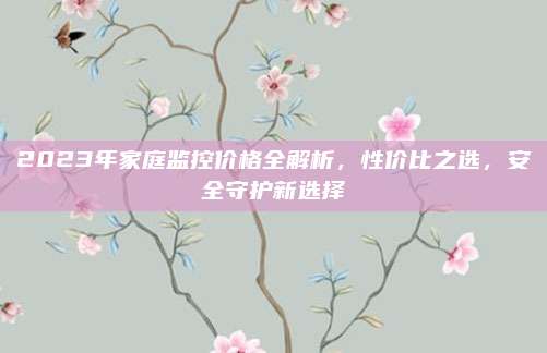 2023年家庭監(jiān)控價格全解析,，性價比之選,，安全守護(hù)新選擇