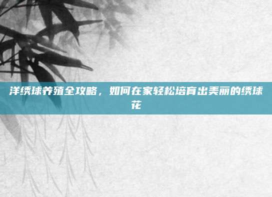 洋繡球養(yǎng)殖全攻略，如何在家輕松培育出美麗的繡球花