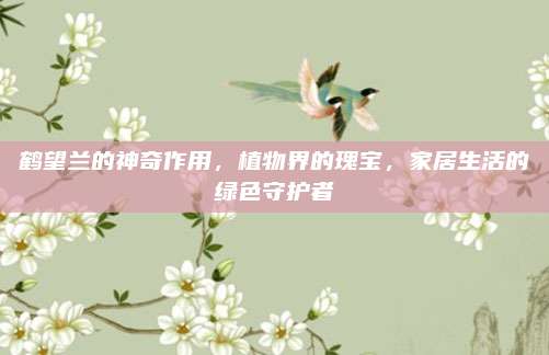 鶴望蘭的神奇作用，植物界的瑰寶,，家居生活的綠色守護(hù)者