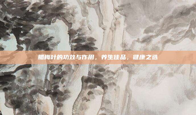 臘梅葉的功效與作用,，養(yǎng)生佳品，健康之選