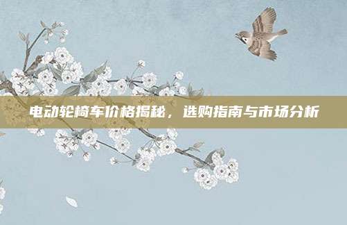 電動(dòng)輪椅車(chē)價(jià)格揭秘,，選購(gòu)指南與市場(chǎng)分析