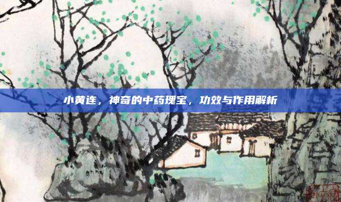 小黃連，神奇的中藥瑰寶,，功效與作用解析