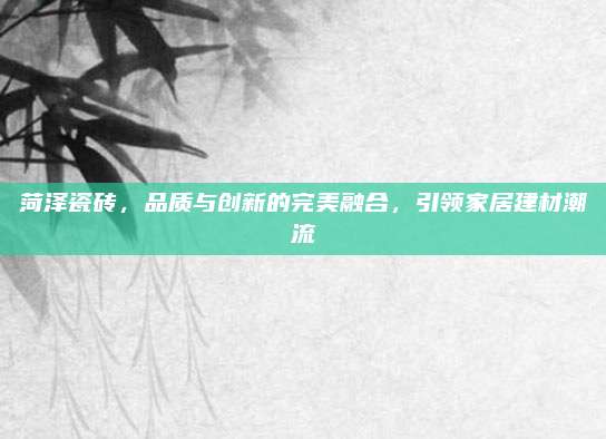 菏澤瓷磚，品質(zhì)與創(chuàng)新的完美融合,，引領(lǐng)家居建材潮流