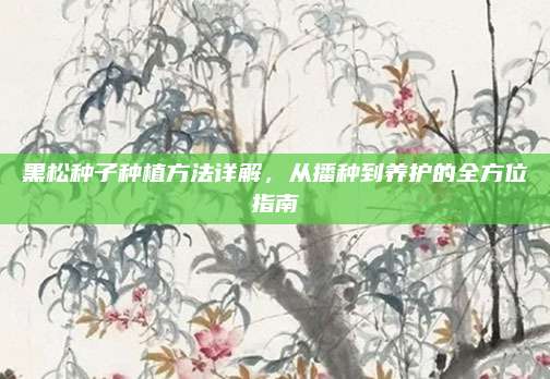 黑松種子種植方法詳解,，從播種到養(yǎng)護(hù)的全方位指南