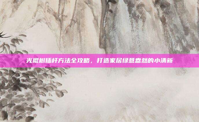 光棍樹插桿方法全攻略,，打造家居綠意盎然的小清新