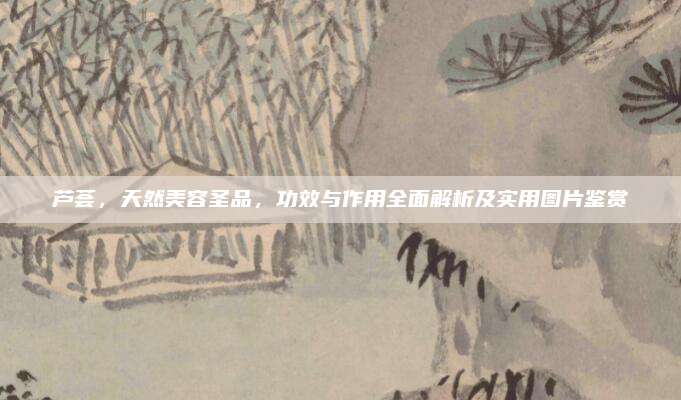 蘆薈,，天然美容圣品,，功效與作用全面解析及實用圖片鑒賞