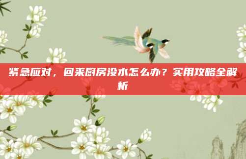 緊急應(yīng)對,，回來廚房沒水怎么辦？實用攻略全解析