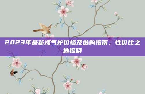 2023年最新煤氣爐價格及選購指南，性價比之選揭曉