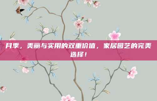 月季，美麗與實用的雙重價值,，家居園藝的完美選擇,！