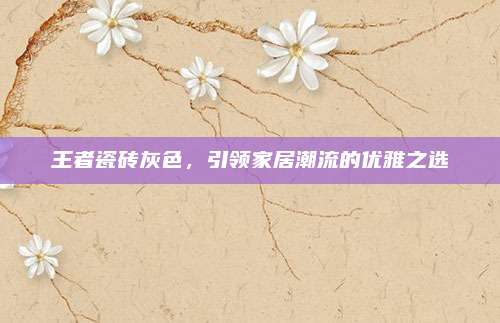 王者瓷磚灰色,，引領(lǐng)家居潮流的優(yōu)雅之選