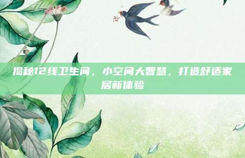 揭秘12線衛(wèi)生間,，小空間大智慧，打造舒適家居新體驗(yàn)