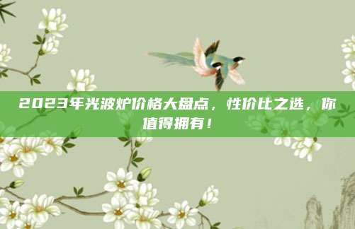2023年光波爐價(jià)格大盤點(diǎn),，性價(jià)比之選,，你值得擁有,！