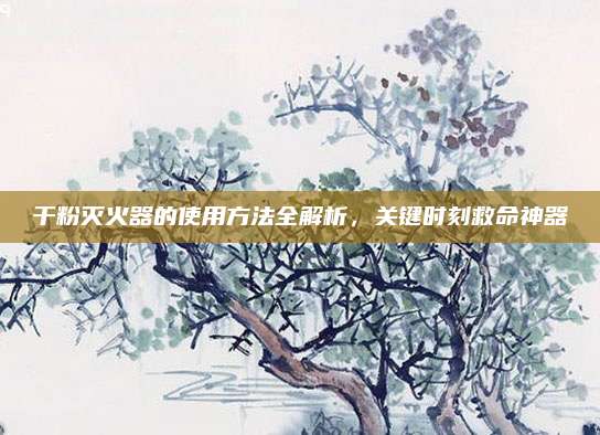 干粉滅火器的使用方法全解析,，關(guān)鍵時刻救命神器