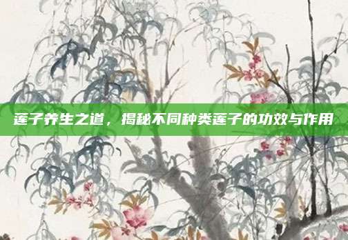 蓮子養(yǎng)生之道，揭秘不同種類蓮子的功效與作用