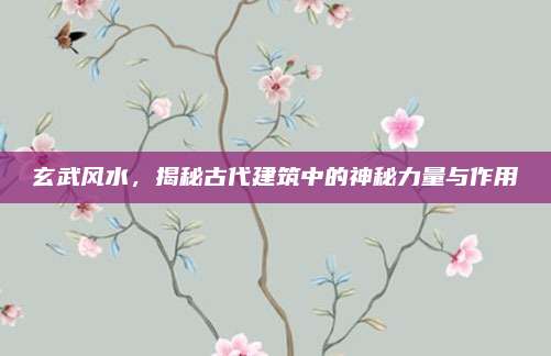 玄武風水，揭秘古代建筑中的神秘力量與作用