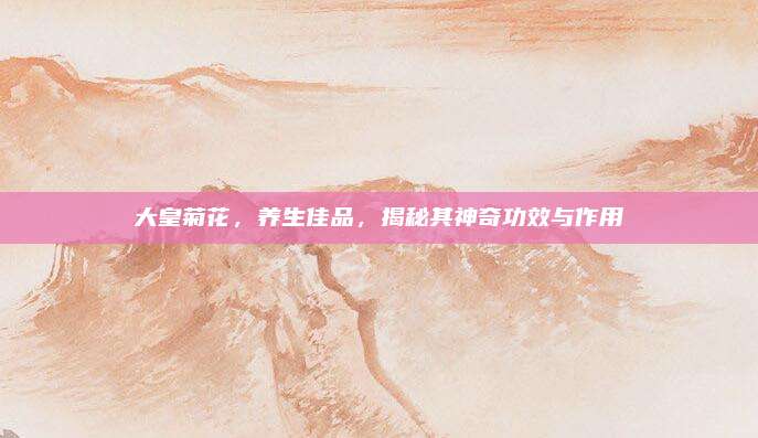 大皇菊花，養(yǎng)生佳品，揭秘其神奇功效與作用