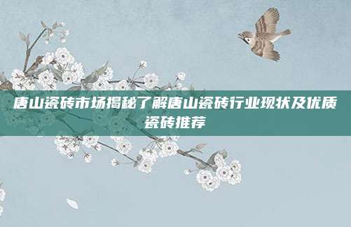 唐山瓷磚市場(chǎng)揭秘了解唐山瓷磚行業(yè)現(xiàn)狀及優(yōu)質(zhì)瓷磚推薦
