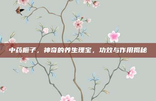 中藥榧子,，神奇的養(yǎng)生瑰寶，功效與作用揭秘