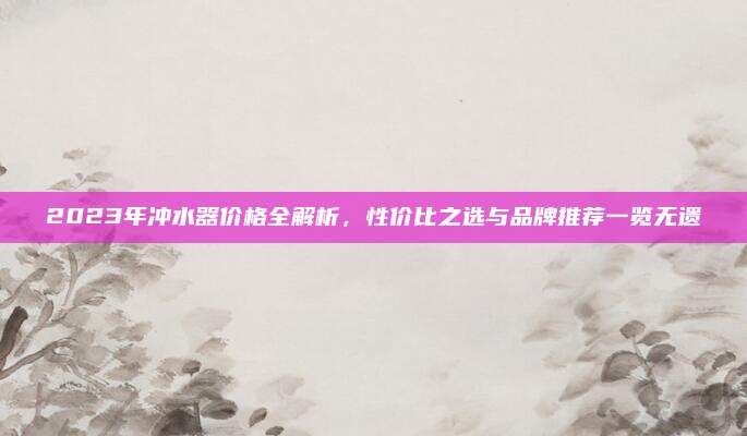 2023年沖水器價(jià)格全解析，性價(jià)比之選與品牌推薦一覽無遺