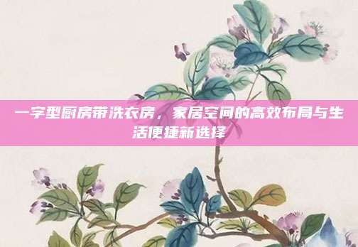 一字型廚房帶洗衣房,，家居空間的高效布局與生活便捷新選擇
