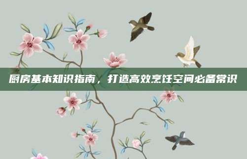 廚房基本知識(shí)指南,，打造高效烹飪空間必備常識(shí)