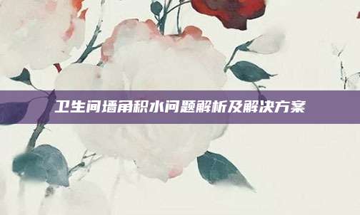 衛(wèi)生間墻角積水問(wèn)題解析及解決方案