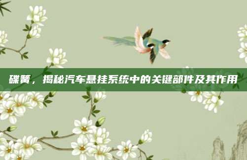 碟簧,，揭秘汽車(chē)懸掛系統(tǒng)中的關(guān)鍵部件及其作用