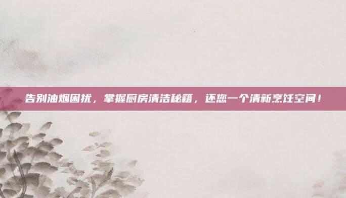 告別油煙困擾,，掌握廚房清潔秘籍,，還您一個清新烹飪空間！