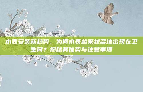 水表安裝新趨勢(shì),，為何水表越來越多地出現(xiàn)在衛(wèi)生間？揭秘其優(yōu)勢(shì)與注意事項(xiàng)