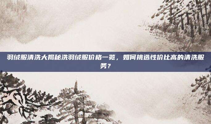 羽絨服清洗大揭秘洗羽絨服價(jià)格一覽，如何挑選性價(jià)比高的清洗服務(wù),？