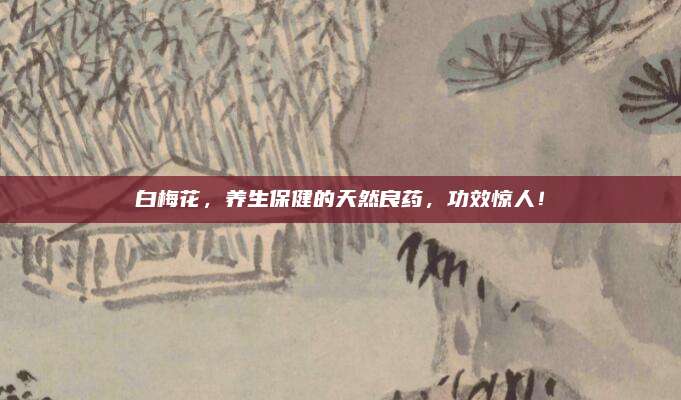 白梅花，養(yǎng)生保健的天然良藥,，功效驚人,！