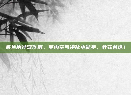 吊蘭的神奇作用，室內(nèi)空氣凈化小能手,，養(yǎng)花首選,！