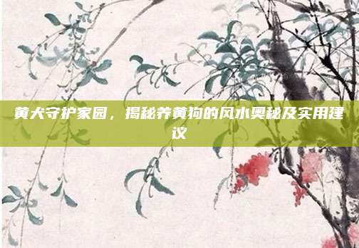 黃犬守護(hù)家園,，揭秘養(yǎng)黃狗的風(fēng)水奧秘及實(shí)用建議